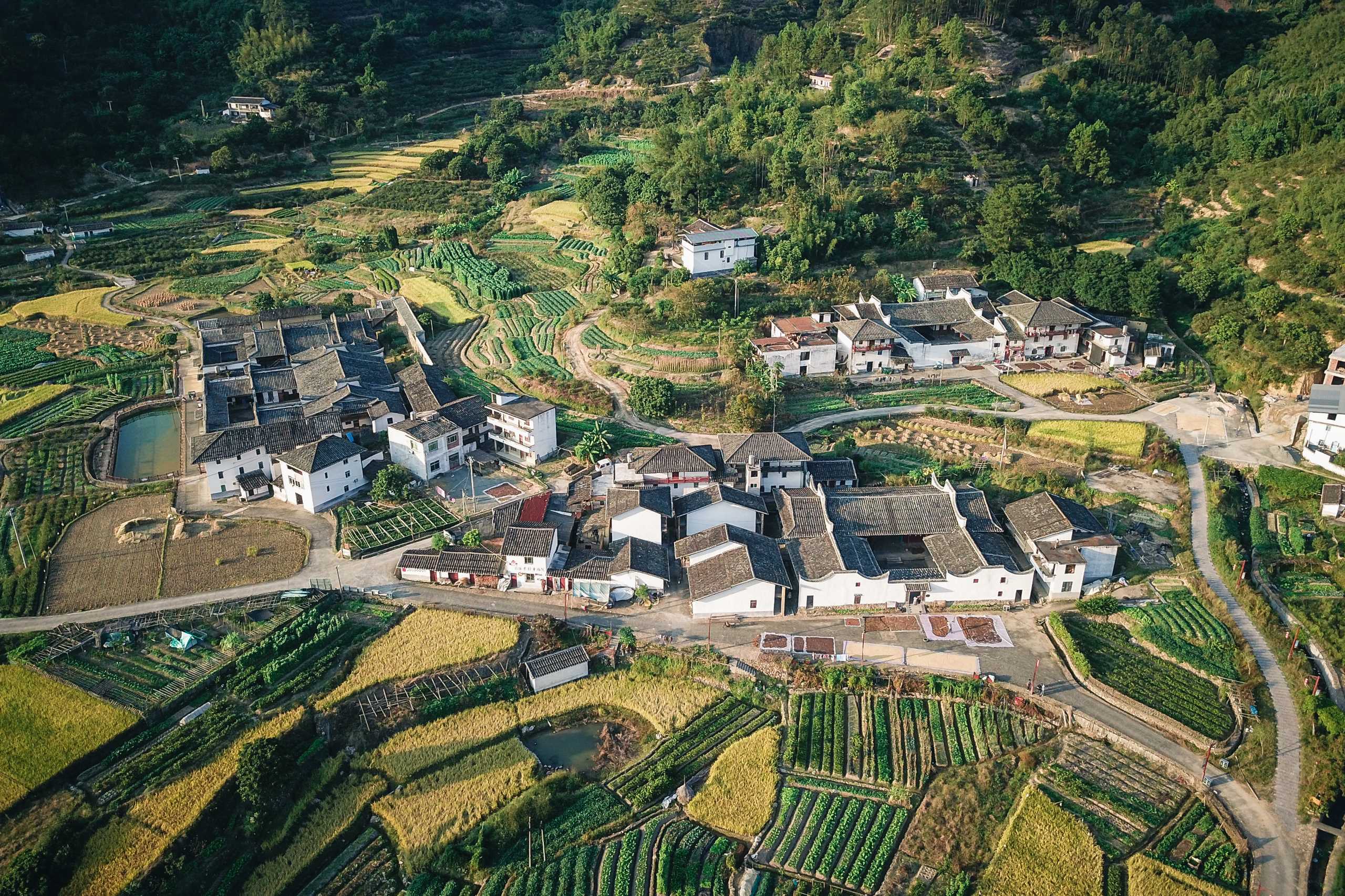 Maanzhai